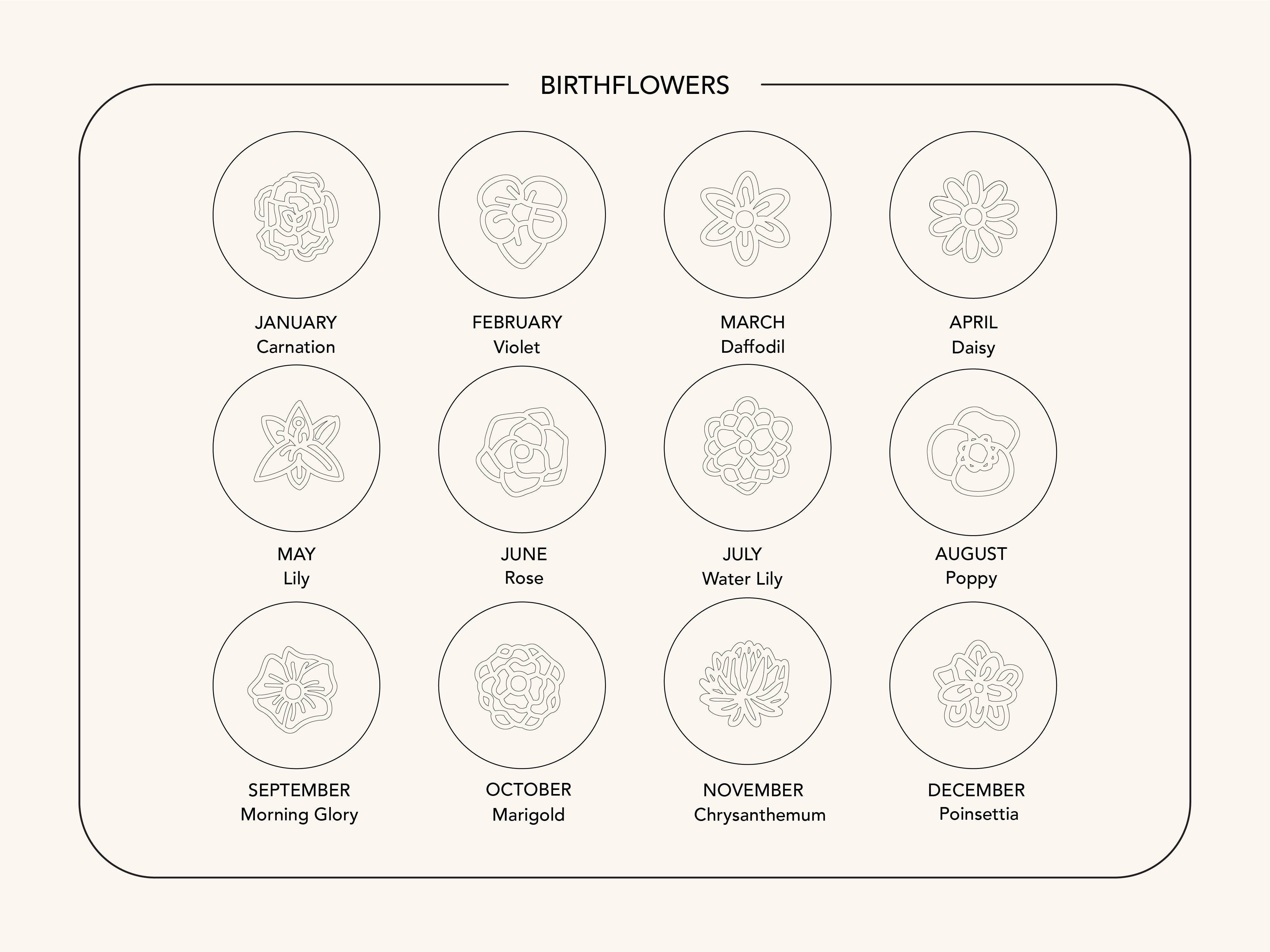 Birthflower chart for jewelry designs: January carnation to December poinsettia