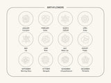 Birthflower chart for jewelry designs: January carnation to December poinsettia