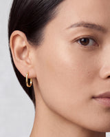 Elongated Oval Hoop Earrings